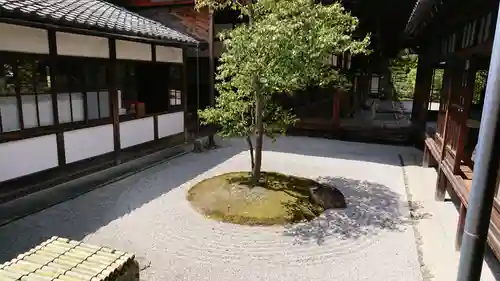 建仁寺（建仁禅寺）の庭園