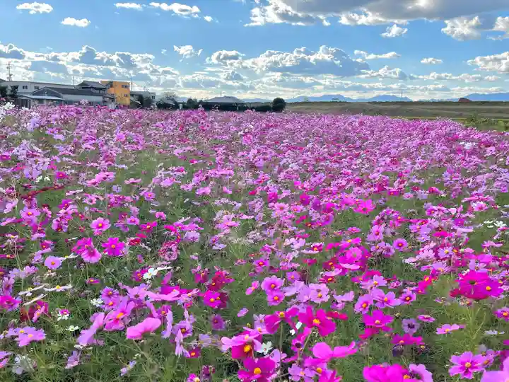 夜夫多神社(三重県)