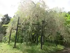 長安寺(京都府)