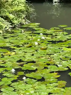 内々神社(愛知県)