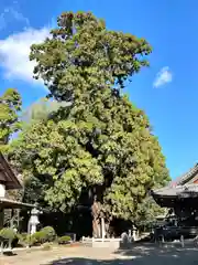 大隴神社(滋賀県)