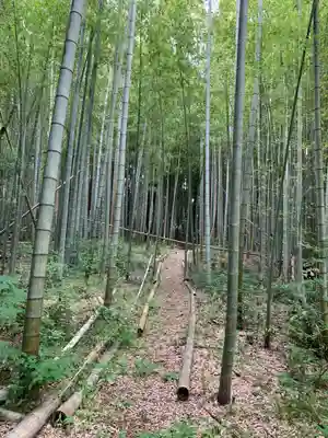 八幡神社(千葉県)