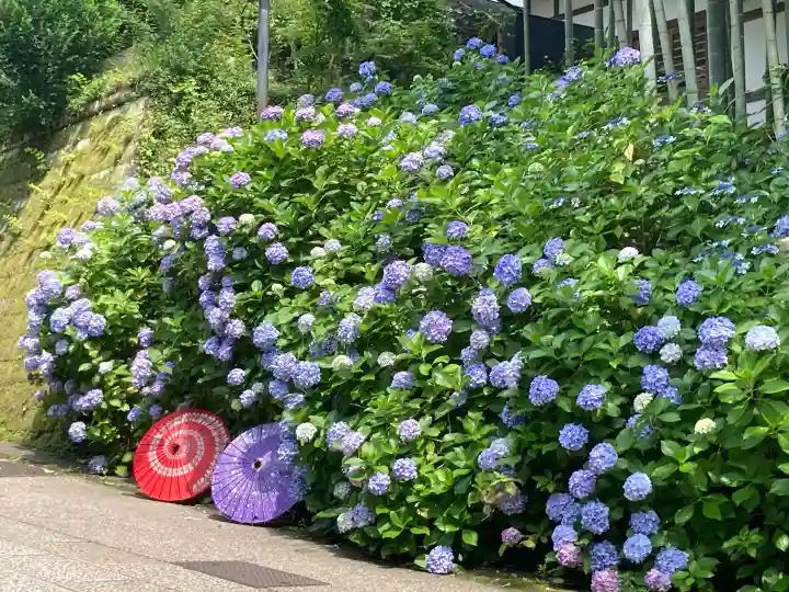 円覚寺(神奈川県)