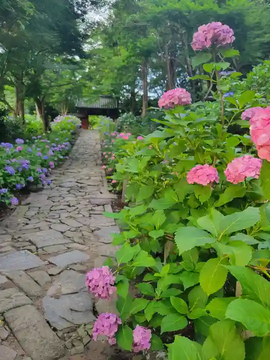 本光寺(愛知県)