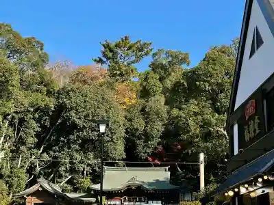 大神神社の{uncategorized: "未分類", other: "その他", undefined: "問題あり", building: "その他建物", grave: "お墓", sacred_gate: "鳥居", guardian: "狛犬", statue: "像", buddha: "仏像", history: "歴史", nature: "自然", garden: "庭園", animal: "動物", pagoda: "塔", temizu: "手水舎", mountain_gate: "山門・神門", sanctuary: "本殿・本堂", subordinate: "末社・摂社", art: "芸術", scenery: "景色", jizo: "地蔵", ema: "絵馬", goshuin: "御朱印", omikuji: "おみくじ", items: "授与品その他", amulet: "お守り", goshuincho: "御朱印帳", eats: "食事", festival: "お祭り", votive_dance: "神楽", shichigosan: "七五三参", wedding: "結婚式", experience: "体験その他", initially: "初詣", around: "周辺", anti_infection: "感染症対策"}