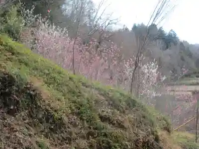 聖神社(埼玉県)