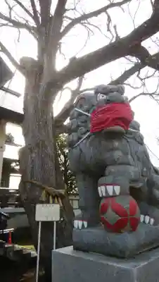 豊平神社の狛犬