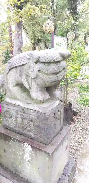 菊田神社の狛犬