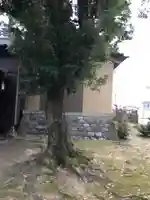 兔橋神社の自然