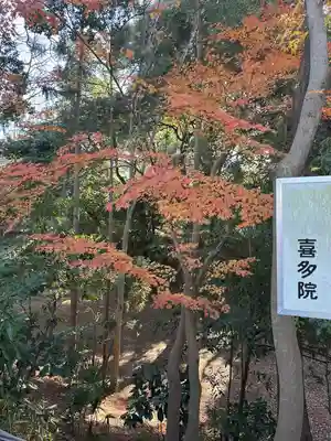 喜多院(埼玉県)