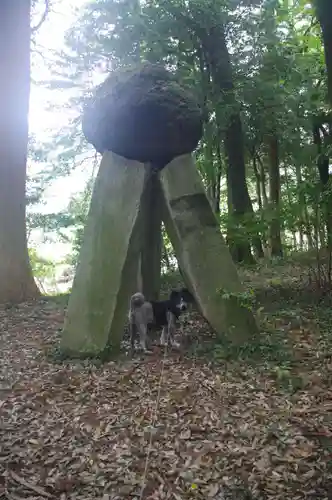 伊和神社の動物