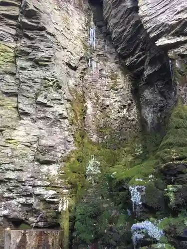 御嶽神社(王滝口）里宮の自然
