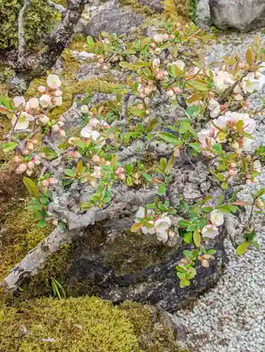 正法寺(京都府)