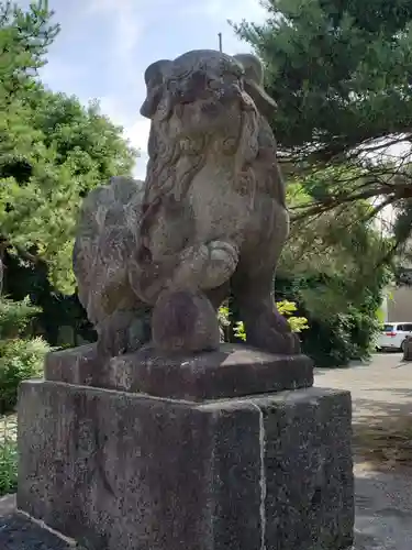 鹿嶋神社の狛犬