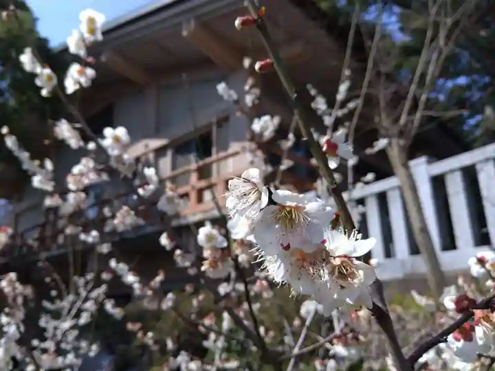 藤島神社(贈正一位新田義貞公之大宮)(福井県)