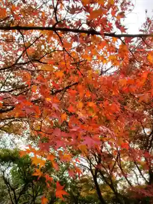 高円寺(東京都)