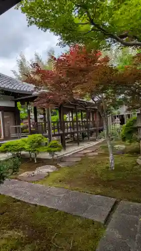 大雲寺(京都府)