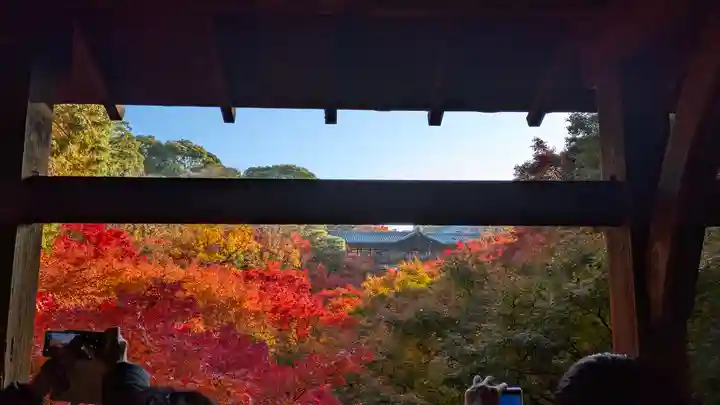 東福禅寺(東福寺)(京都府)