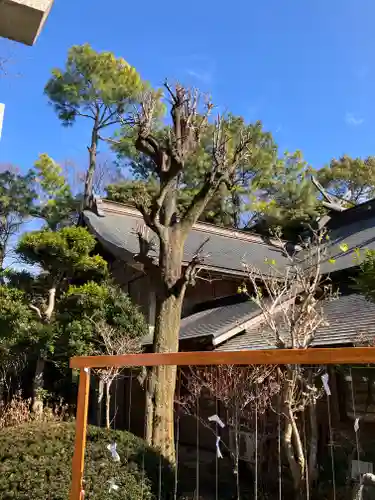 出雲大社相模分祠(神奈川県)