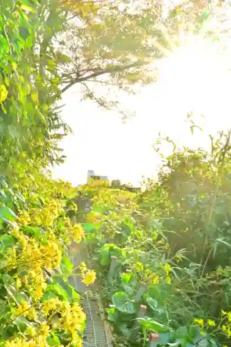 白山媛神社(新潟県)