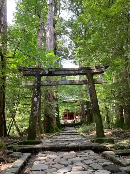 瀧尾神社(日光二荒山神社別宮)の鳥居