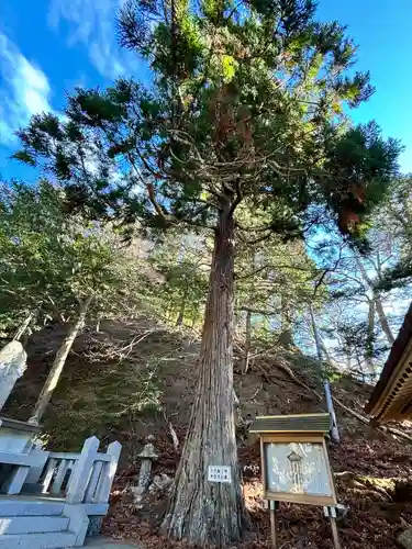 金華山黄金山神社(宮城県)