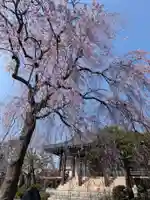圓照寺(東京都)