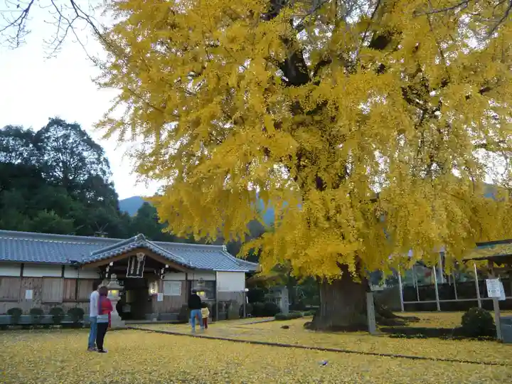 丹生酒殿神社のその他建物