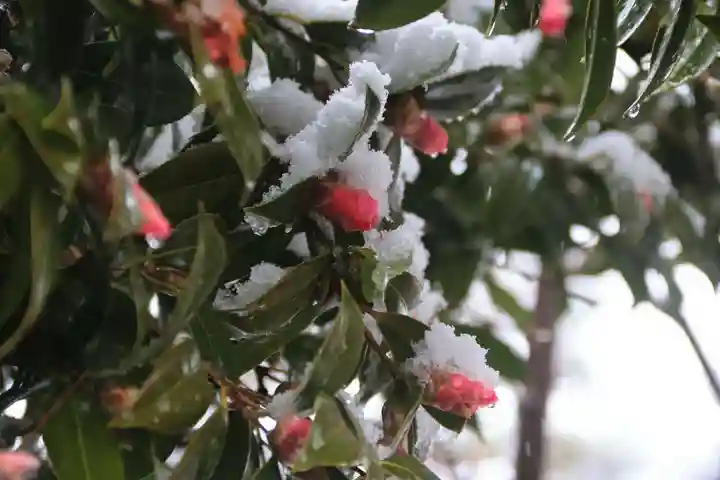 開成山大神宮の庭園