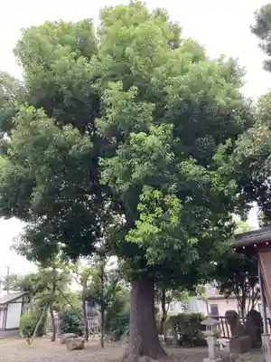 真土神社(神奈川県)