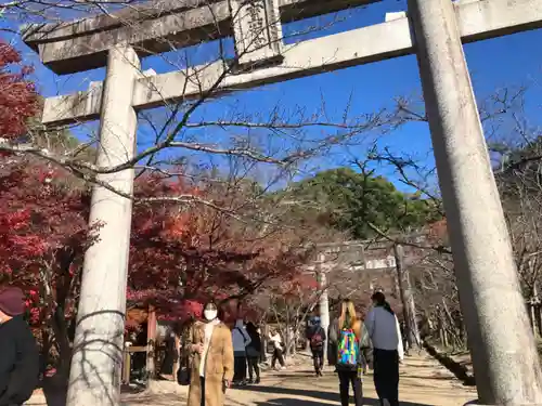 太宰府天満宮の鳥居