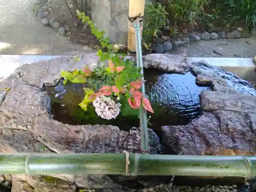 阿智神社の手水