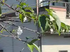 加佐美神社(岐阜県)