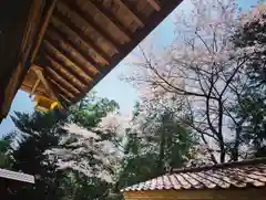 滑川神社 - 仕事と子どもの守り神の自然