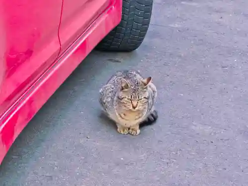 花咲港金刀比羅神社(北海道)