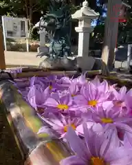 立志神社(滋賀県)