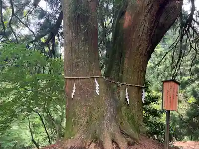 大山阿夫利神社本社(神奈川県)