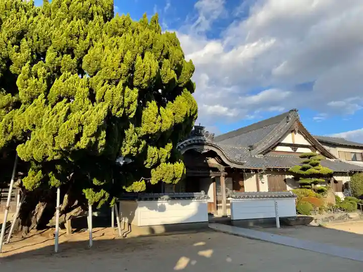 常楽寺(兵庫県)