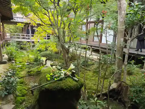 安楽寺(京都府)