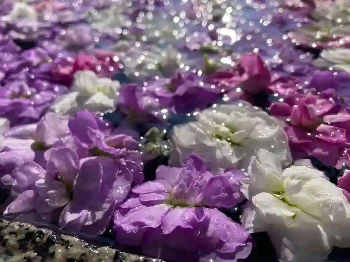 阿邪訶根神社(福島県)