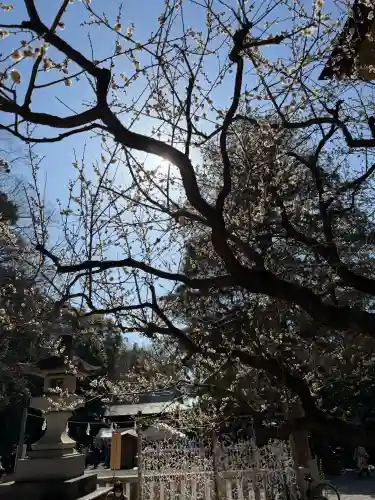 谷保天満宮の{uncategorized: "未分類", other: "その他", undefined: "問題あり", building: "その他建物", grave: "お墓", sacred_gate: "鳥居", guardian: "狛犬", statue: "像", buddha: "仏像", history: "歴史", nature: "自然", garden: "庭園", animal: "動物", pagoda: "塔", temizu: "手水舎", mountain_gate: "山門・神門", sanctuary: "本殿・本堂", subordinate: "末社・摂社", art: "芸術", scenery: "景色", jizo: "地蔵", ema: "絵馬", goshuin: "御朱印", omikuji: "おみくじ", items: "授与品その他", amulet: "お守り", goshuincho: "御朱印帳", eats: "食事", festival: "お祭り", votive_dance: "神楽", shichigosan: "七五三参", wedding: "結婚式", experience: "体験その他", initially: "初詣", around: "周辺", anti_infection: "感染症対策"}
