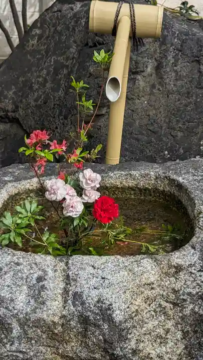 本隆寺(本妙興隆寺)(京都府)