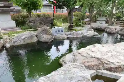 法光寺(埼玉県)