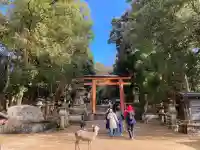 春日大社の{uncategorized: "未分類", other: "その他", undefined: "問題あり", building: "その他建物", grave: "お墓", sacred_gate: "鳥居", guardian: "狛犬", statue: "像", buddha: "仏像", history: "歴史", nature: "自然", garden: "庭園", animal: "動物", pagoda: "塔", temizu: "手水舎", mountain_gate: "山門・神門", sanctuary: "本殿・本堂", subordinate: "末社・摂社", art: "芸術", scenery: "景色", jizo: "地蔵", ema: "絵馬", goshuin: "御朱印", omikuji: "おみくじ", items: "授与品その他", amulet: "お守り", goshuincho: "御朱印帳", eats: "食事", festival: "お祭り", votive_dance: "神楽", shichigosan: "七五三参", wedding: "結婚式", experience: "体験その他", initially: "初詣", around: "周辺", anti_infection: "感染症対策"}
