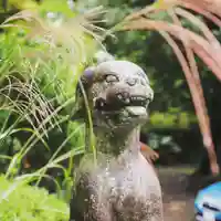 三峯神社の狛犬