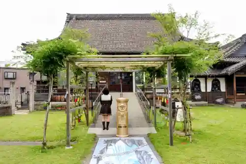 四季桜の寺 妙乗院の本殿・本堂