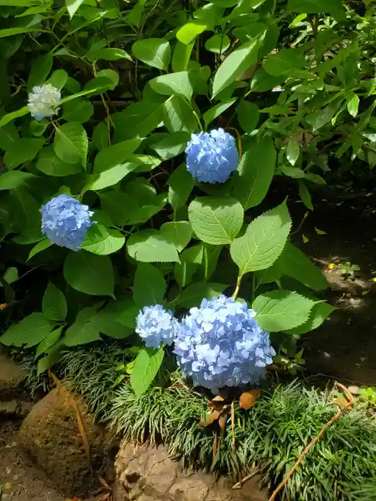 小野照崎神社(東京都)