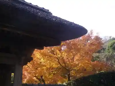 長壽寺（長寿寺）のその他建物