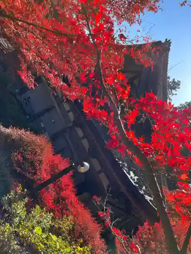 常樂寺(滋賀県)