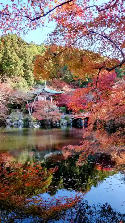 醍醐寺(京都府)